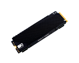 TWINMOS 1 TB NVME GEN4 SSD 7500/6800 SOGUTUCULU (NV1TBG42280)